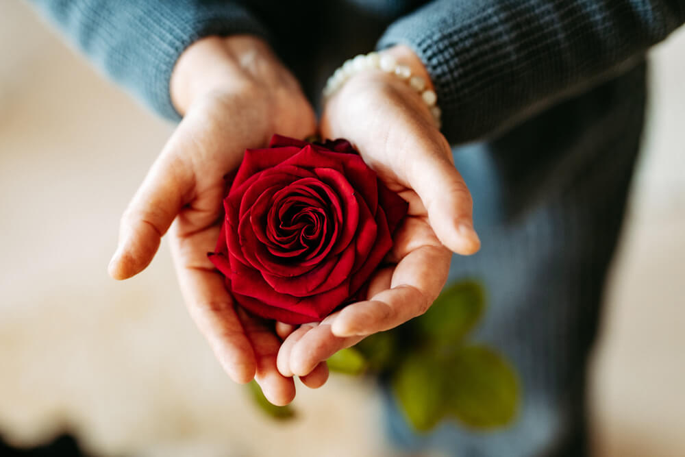 Existenzanalyse – Zwei Hände, die zu einer Schale geformt sind und eine Rose behutsam halten