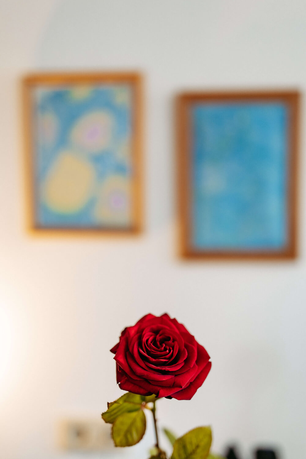 Zwei gerahmte Bilder und eine Rose in der psychotherapeutischen Praxis von Martha Sulz in Poysdorf